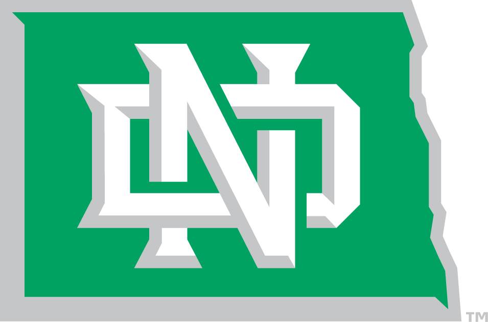North Dakota Fighting Hawks 2012-2015 Alternate Logo DIY iron on transfer (heat transfer)